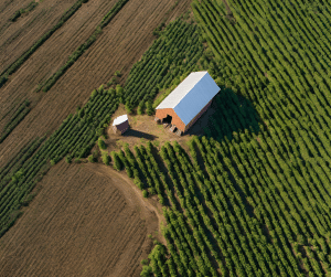 Arial view of potato house and field