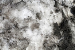 dirty-snow-background-01