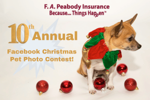 10th Annual Facebook Christmas Pet Photo Contest