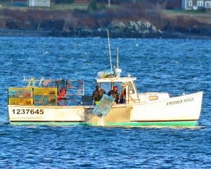 Maine commercial fishing