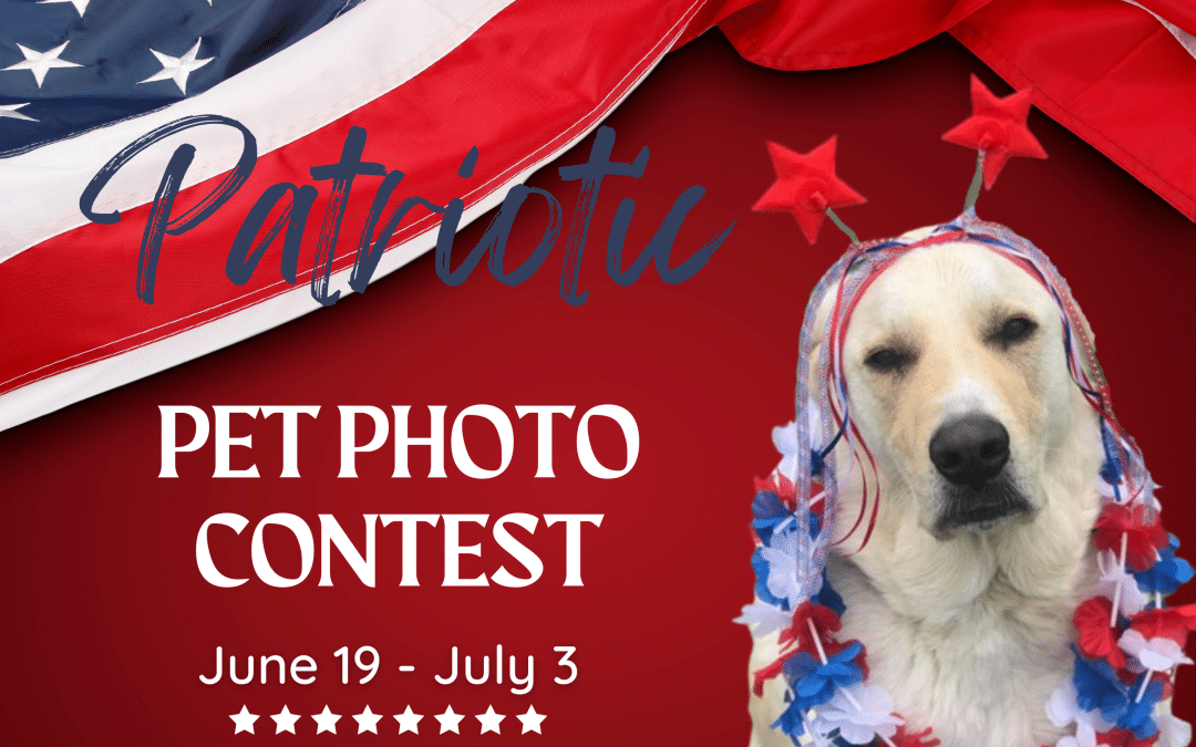 Patriotic Pet Photo Contest