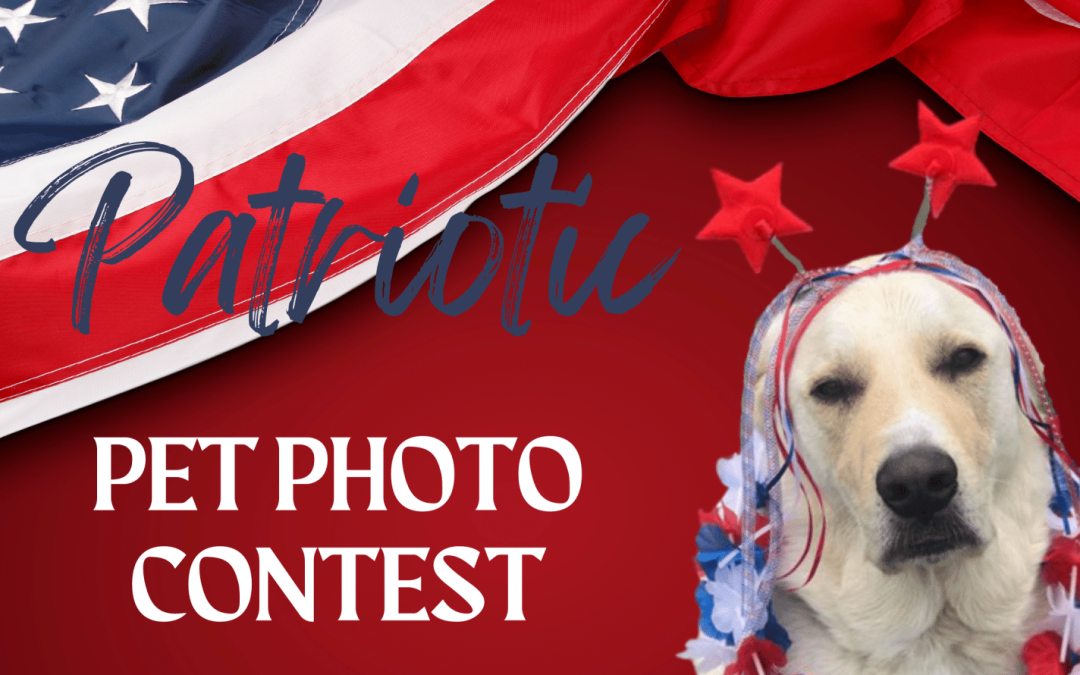 Patriotic Pet Photo Contest